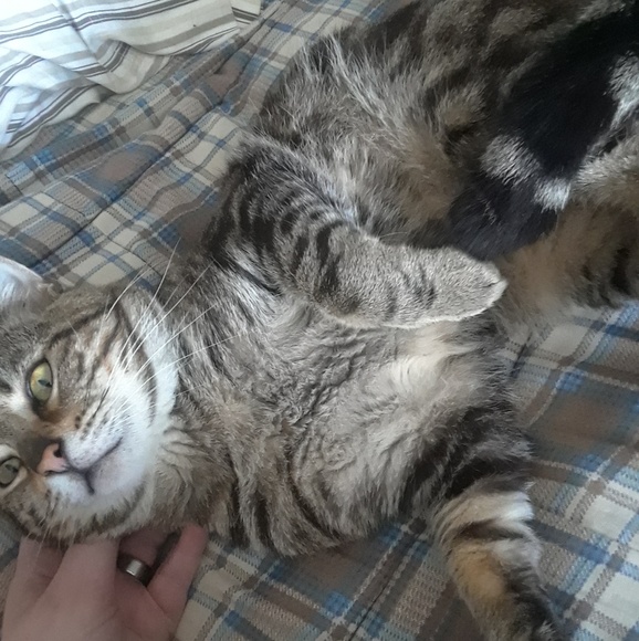 Meet your Posher, Catarina - Picture 3 of 8